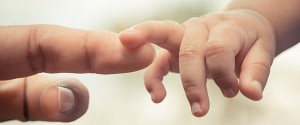 sp_bg_img001